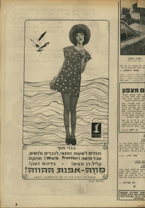 העולם הזה - גליון 1810 - 10 במאי 1972 - עמוד 9 | תמונת השבוע כניסה למקום קדוש ק. מה שמעניין זה אם הנהג סוף מקום לבית־כנסת או ילא. סמואל זרוכשנקו, יפו :צלום הקורא זוובשנקו, המראה שעלתה על עץ הנושא את השלט