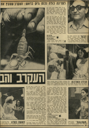 העולם הזה - גליון 1811 - 17 במאי 1972 - עמוד 20 | העובדת שלי באה ביום ראשון בבוקר ואמרה ששכנה שלה הקריאה לה את הידיעה מעיתון. היא בעצמה עולה חדשה, ולא קוראת עיתונים. איזה עיתון ל שאלתי אותה.