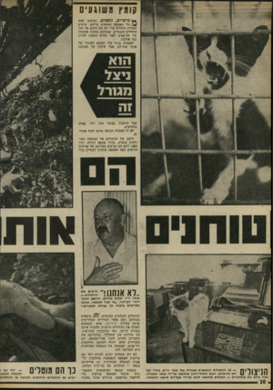 העולם הזה - גליון 1815 - 14 ביוני 1972 - עמוד 20 | קומץ משוגעים ** פרפרים, גוספים, חנוקים תחת 1,גלי האשפה המכסים עליהם, עושים עשרות חתולים מדי יום את דרכם אל תוך הדוודים הענקיים, שבתוכם נטחנת אשפתה של תל-אביב