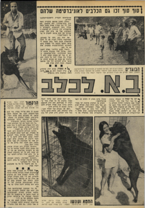 העולם הזה - גליון 1821 - 25 ביולי 1972 - עמוד 29 | }סוף* שף נכו גם הכלבים לאוניברסיטה שרחם אוניברסיטה העברית הראשונה־לכלבים- יהודיים. ״בשלב ראשון אסתפק בהקניית תואר ב.א( .בוגר־אילוף),״ הוא מיצטנע ,״אם הכל ילך