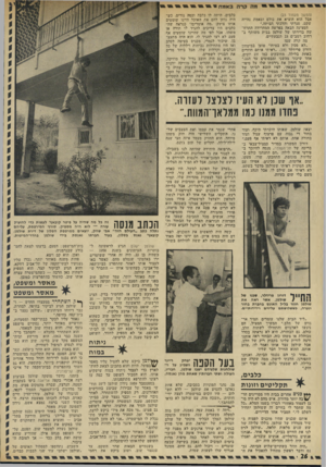 העולם הזה - גליון 1823 - 9 באוגוסט 1972 - עמוד 26 | הוא הסביר לשופט עד כמה עז רצונו להתרפא מתוקפנותו. בספטמבר 1959 נידון שולמן ל* 10 חודשי מאסר על עבירות שביצע בחודשים האחרונים. … סניגורו של שולמן, עורך־הדין
