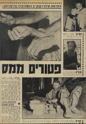 העולם הזה - גליון 1823 - 9 באוגוסט 1972 - עמוד 32 | איפה אתה, שירוני? קבצני ודא ממתינים דר בנד קרן־רחוב! העיוור בתחתיות כיכר־המושבות בתל־אביב, על מדריגות המעבר התת־קרקעי יושב עיוור זה ומקבץ נדבות לתוך קופסת
