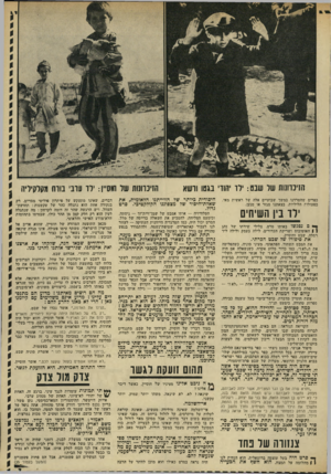 העולם הזה - גליון 1823 - 9 באוגוסט 1972 - עמוד 7 | תחת זאת נשארו כל השאלות כלא מענה. גרוע מזה: הן נשארו כלתי־נשאלות. הצנזורה הגרועה כיותר — זו של הפחד — הקימה מסך־ כרזל כין השאלות, שהועלה מנככי תת־ההכרה, וכין