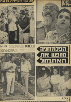 העולם הזה - גליון 1824 - 16 באוגוסט 1972 - עמוד 20 | עונה מפרידות בין עורו• הפלמחניח מחפש הוי ת מו ד א? והיום יורם שדה, בנו של ״הזקן״ ,שהתייתם תוך זמן קצר משני הוריו, מחובק בידי יגאל אלון ביום השנה הראשון למותו