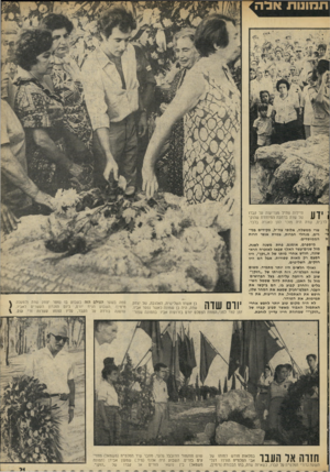 העולם הזה - גליון 1824 - 16 באוגוסט 1972 - עמוד 21 | תמונות אנדה חיילות צה״ל מצדיעות על קברו של שדה ברחבה המיוחדת שהוק־ ( 1 1ן לרבים, שדה היה מוכר להן כאגדה בלבד. שרי ממשלה, אלופי צה״ל, פקידים בכי־רים, מנהלי