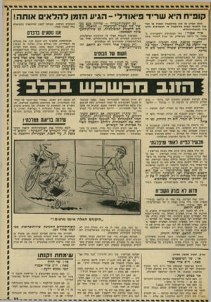 העולם הזה - גליון 1841 - 13 בדצמבר 1972 - עמוד 33 | קופ״ח היא שריד פיאודלי -הגיע ה!מן להל אי ם אותה! לחלן דגרינו על חוק מס-מקביל חמטיל על וזבי* טוח הלאומי לגבות מס״מקניל מן המעסיקים ולהעבירו לקופות-חחולים. אורי
