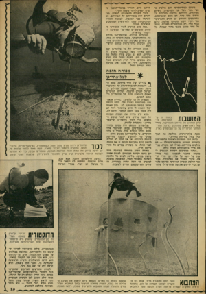העולם הזה - גליון 1842 - 20 בדצמבר 1972 - עמוד 39 | ״ציבעם כסוף־אפרפר וחם בולטים כ חצי מטר מעל פני הקרקעית. גופיהם מקושתים, ועיניהם בולטות בדריכות בחיפוש אחר טרף. הם נעים ומתכופפים, מתרוממים ויורדים עם הזרם