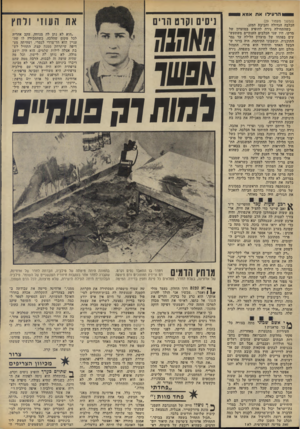 העולם הזה - גליון 1848 - 31 בינואר 1973 - עמוד 30 | ^ 1הר עידו אתאמא (המשך מעמוד )29 הכלבה הגדולה וחביבת המזג. כשהתחילה נירה להופיע במועדון של מרקו, היו שני הכלבים הענקיים משתעש עים בפתחו של מועדון הלילה עד גמר