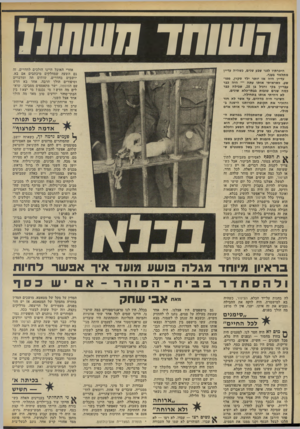 העולם הזה - גליון 1849 - 7 בפברואר 1973 - עמוד 30 | השוחד מששת אחרי האוכל היינו הולכים לחדרים, זה גם השעה שמחלקים מיכתבים אם בא. יושבים בחדרים, שותים תה ומדברים וסיפורים הולך הרבה. אחד בא חדש עם הפוסטה, ישר