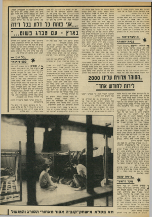 העולם הזה - גליון 1849 - 7 בפברואר 1973 - עמוד 31 | נחושת, ובא מהצד הקדמי ומוכר לו את אותו הנחושת. והייתי מקבל אז, אני זוכר, את ד,־ 25 גרוש מהנייר. הייתי אז סקרן גדול ושובב גדול. מחיפה עברנו לגור ביפו ושמה
