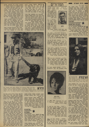 העולם הזה - גליון 1850 - 14 בפברואר 1973 - עמוד 28 | בגיל 14 וחצי, השתתפה ציפי בתחרות מלכת המים ונבחרה לסגנית המלכה. בלט, בעל מסדה, שני המפיצים התל- אביביים של הכרזה, תבע בה פיצויים בסך 50 אלף ל״י.