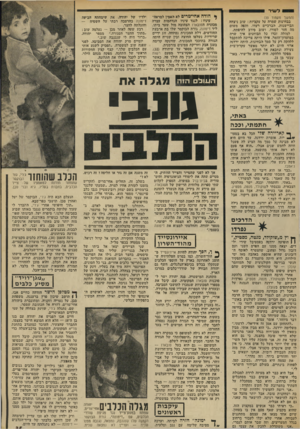 העולם הזה - גליון 1851 - 21 בפברואר 1973 - עמוד 35 | ל שיר (המשך מעמוד )33 בבחינות שמרה על עקביות: שוב ניצחה הביישנות. הברכיים רעדו, והפה משום מה חזר לסורו, ושוב סירב להיפתח. שרה למזלה זכרו כל הבוחנים איך
