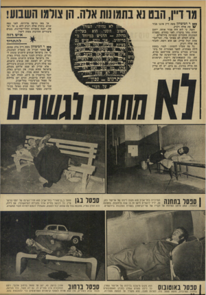העולם הזה - גליון 1853 - 7 במרץ 1973 - עמוד 38 | אך מאז נזרקה מדירתה, לפני כמה שנים, נותרה פולה רזניק ללא גג על ראשה, ישנה בחצרות וחדרי־מדרגות, בגנים ציבוריים וחורבות מטות ליפול. **ץ ר הביטחון משה דיין איננו
