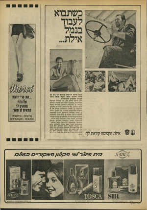 העולם הזה - גליון 1855 - 21 במרץ 1973 - עמוד 29 | לנמל אילת דרושים עובדים עד גיל 32 אחרי שירום צבאי ובעלי גושר גופני מעולה למקצוע הסווארות. נמל אילת מציע לך # :עבודה קבועת ומסודרת במפעל דינמי עם סיכויי קידום