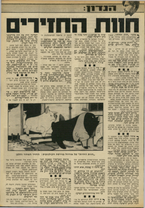 העולם הזה - גליון 1857 - 4 באפריל 1973 - עמוד 13 | :1 1 * 1 1 1 1 ך* סיפרו ״חוות החיות״ ,המשיל 2נביא־האימים ג׳ורג׳ אורוול, את ה־מישטר לקהיליית חיות, שהחזירים השתלטו ״כל החיות שוות,״ מכריזים השליטים ,״אכל
