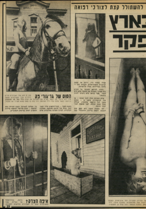 העולם הזה - גליון 1859 - 21 באפריל 1973 - עמוד 23 | רהשתורר קצת ל צו רני רפואה ;אוץ אפילו במחיר חייו, ניתקה את עצמה הג׳ינג׳ית שופעת־החיים, הצבועה עתה ל בלונד, מבדידותה, חזרה תל־אביבה. ״רציתי להירפא מהמתח של