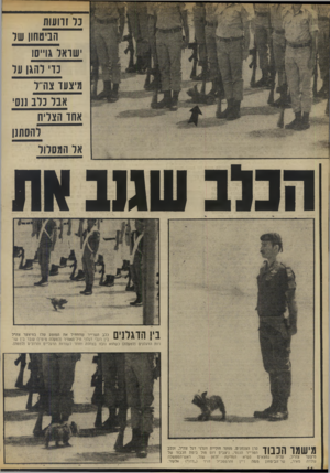העולם הזה - גליון 1862 - 8 במאי 1973 - עמוד 14 | נד זוועות הביטחון שד שואל ג ר סו נוי להגן ער מיצעו צורל אבל נלב נגס אחו הצליח להסתנן אל המסלול הנלב שגע )ית 1 1 1 1 * 1ל ן • 1כלב הטרייר שהתחיל את המופע שלו
