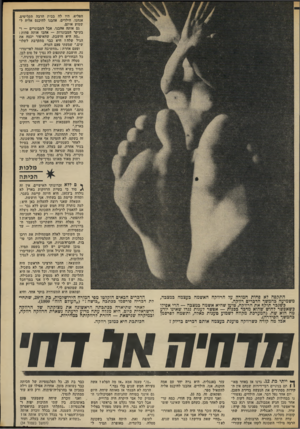 העולם הזה - גליון 1862 - 8 במאי 1973 - עמוד 31 | הפליא, היו לה בבית הרבד. תקליטים. אנחנו, הילדים, אהבנו להיכנס אליה ל שמוע אותם. גם אותה אהבנו. אבל המבוגרים — ובעיקר המבוגרות — אהבו אותה פחות: ״מה היא חושבת,