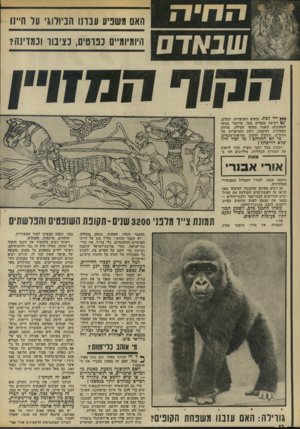 העולם הזה - גליון 1863 - 16 במאי 1973 - עמוד 12 | החיה האם משניע ענ הו הביולוג עד חיינו היומיומיים כפרטים, כציבור וכמדינה? *** י רי לכת. תופים וחצוצרות, דגלים. רקיעת מגפיים בסך. טירטור מנועי חטאנקים. שאגת