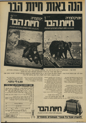 העולם הזה - גליון 1864 - 23 במאי 1973 - עמוד 23 | הנה באש היש הבו ך0,חיו.50 נל׳^ 1׳קלוסדיה ץ ו1צי7ן לופדיה ומתהבר זיוי!המר =£וט 1_0ו \^/חיות העיל ם בסב בתן ה =£וו 1ס1ו \^/חיות העולם בסביבתן הטבעית חיות הבר —
