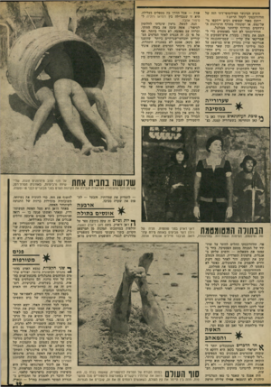 העולם הזה - גליון 1865 - 30 במאי 1973 - עמוד 39 | היגיע המינשר הפילוסופי־דתי הזה של חודורובסקי לקהל הרחב? ייתכן מאוד שצופים רבים ייתקפו גו״ על־נפש, או יסונוורו מעודף הרעיונות ה־נידחסים בטירוף קדחתני מבולבל.