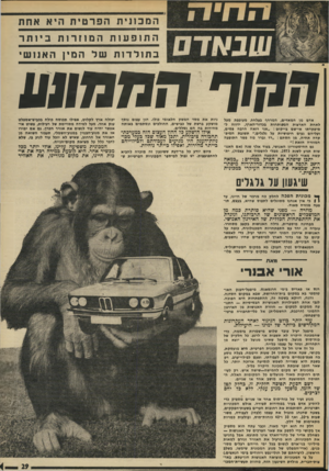 העולם הזה - גליון 1870 - 4 ביולי 1973 - עמוד 29 | שבאדם המכו ני תהפר טי ת הי אאחת ה ת 1פ ע 1תהמוזר ! תביותר בתולדותשלה מי! האנו שי החוף הע 4111919 אדם מן המאדים, חמרחף בצלחת. מעופפת מעל לאחת הארצות המפותחות