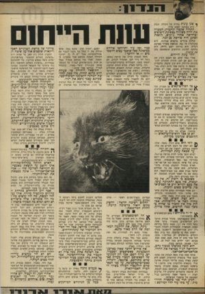 העולם הזה - גליון 1871 - 11 ביולי 1973 - עמוד 13 | לפני כן נתגלה כי צוות חשאי בבית הלבן פעל באופן שיטתי נגד מועמדים דמוקרטיים בעלי־סיכויים — יוברט האט־פרי, אדמונד מאסקי, ד,נרי ג׳קסון ואחרים — כדי שג׳ורג׳