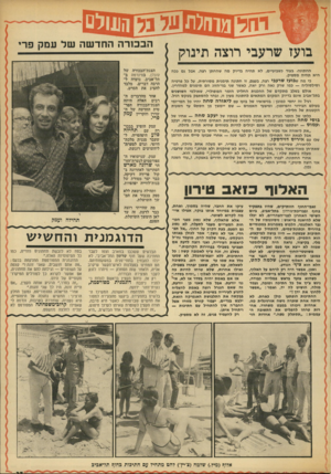 העולם הזה - גליון 1871 - 11 ביולי 1973 - עמוד 37 | בועז שרעבי רוצה תינוק החתונה, בעוד כשבועיים, לא תהיה בדיוק מה שהחתן רצה. אבל גם ככה היא תהיה מספיק. כי מה שבוע? שרעבי רצה, בעצם, זו חתונה תימנית מסורתית, על כל
