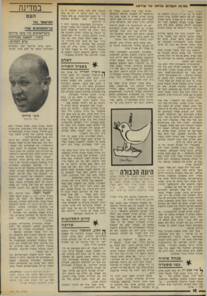 העולם הזה - גליון 1878 - 29 באוגוסט 1973 - עמוד 20 | טפינת השלו עלתה עד שירטון (המשך מעמוד )17 לשוט על גבי אוניית השלום ולשהות בה בשכר של 100 דולאר לחודש, צריך להיות תמהוני במידה זו או אחרת. אייבי הצליח לאסוף