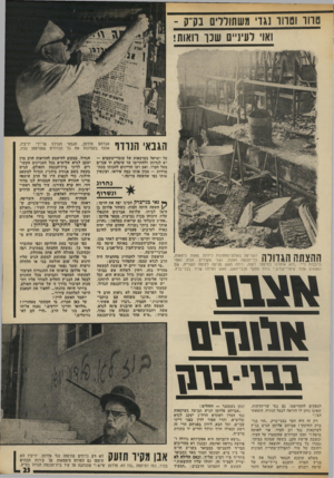העולם הזה - גליון 1879 - 5 בספטמבר 1973 - עמוד 25 | טווו ומהו נגדי משתודזים נקיק - ואוי לעיניים שנן־ רואות! הגבאי הנודר אברחס פדדמז, הגבאי הנרדף על־יזי יריביו, אוסף בקפדנות את כל הכרוזים שפורסמו נגדו. על ישראל