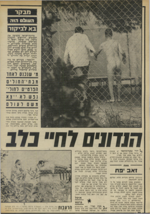 העולם הזה - גליון 1879 - 5 בספטמבר 1973 - עמוד 34 | מב!7ד [ 05111131ו. ו ה [ בא לבי1!7ר מדינת-ישראל מקציבה את הסכומים הדרושים להענקת מחסה. מזון וטיפול רפואי ל* מטורפים שנשלחו. בהיעדר מקום במוסדות ציבוריים,