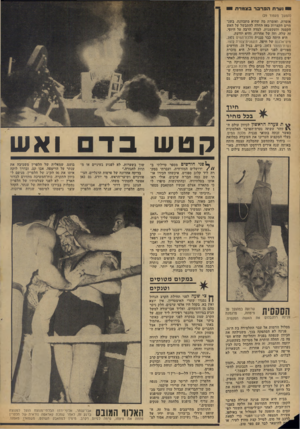 העולם הזה - גליון 1882 - 24 בספטמבר 1973 - עמוד 30 | 1נערת הפרברבצמרתו (המשך מעמוד )29 אומרת, ואומרת מה שהיא מתכוונת. בשנתיים הקצרות מאז החלה להתבשל על האש הקטנה והעקשנית, למדה הרבה על היופי. זה שלה, וזה של