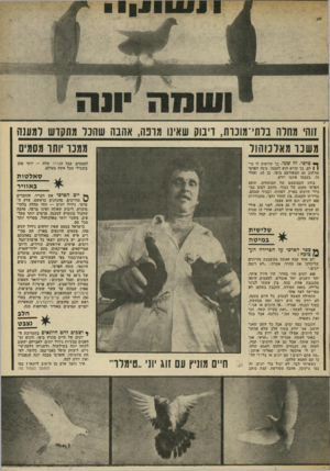 העולם הזה - גליון 1882 - 24 בספטמבר 1973 - עמוד 41 | זוהי מחלה נלתיימונות, ויבוק שאינו מונה, אהבה שהכל מתקדש למענה ממנו יותו מסמים משנו מאלכוהול ך* פרסי. זה שמוי כך קוראים לו כו־ן 1לם. כך קורא הוא לעצמו. משה