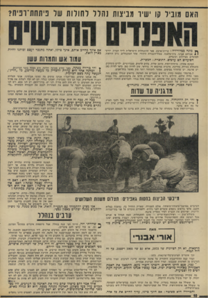 העולם הזה - גליון 1883 - 3 באוקטובר 1973 - עמוד 12 | האם מוביל קו ישיר מביצות נהלל לחולות של פיתחת־רפיח? ך* מונה בטלוויזיה ג קריית־־ארבע. פאר ההתנחלות הישראלית לייד חברון. יורשי <1 1אברהם אבינו. בית־מלאכה.