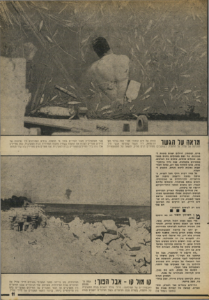 העולם הזה - גליון 1886 - 24 באוקטובר 1973 - עמוד 11 | גופתו שד איש קומנדו מצרי צפה במימי תעה 11111 *111 1 1 1 ¥1 לת־סואץ, ליד הגשר שהקימו אנשי חיל־ו 11111111 #11 1111 1 / ההנדסה של צה״ל על התעלה, כשמסביבו