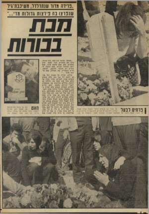העולם הזה - גליון 1889 - 14 בנובמבר 1973 - עמוד 6 | .,נוידה מווו שנתדלדל, עשינבה־גיד שנפרצו בה פירצות גדולות מדי...״ חנת בטחת 1פרחים לבער על קברו של. בן־ציון כרמלי יושבת אבלה אשתו. בודדה, ללא חברים ומכרים, היא