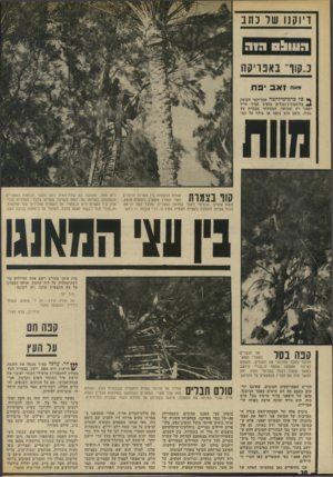 העולם הזה - גליון 1892 - 5 בדצמבר 1973 - עמוד 20 | ויו קנו של נתב ה עו ל ם הו ה כ״קוד״ באפריקה מאת 1א 3פת ך• כל סרט־מידחמה אמריקאי העוסק 1בלוחמת־ג׳ונגלים מופיע תמיד חייל יפאני רע ומכוער, המסתתר בצמרת עץ גבוה.