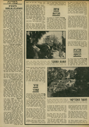 העולם הזה - גליון 1892 - 5 בדצמבר 1973 - עמוד 21 | הכרזות האלה מזכירות לנו כרזות של הפגנות ברחוב דיזנגוף, ומכאן השם. המצרים כבר למדו לדעת, אפילו אם אינם יודעים לקרוא, כי הכרזות מונפות במשך חצי שעה.