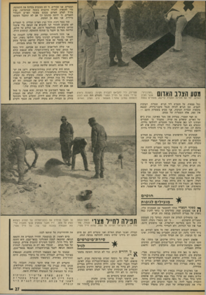 העולם הזה - גליון 1892 - 5 בדצמבר 1973 - עמוד 27 | מסע הצלב האדום ; 5־ האדום, יחד עם חוליות החברה קדישא, מאתרים גופות מצריות, כדי להביאם לקבורה תקינה. בתמונה נראים שרידי גופתנ של החייל המצרי (העולם חזה מצא
