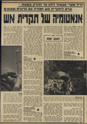 העולם הזה - גליון 1895 - 26 בדצמבר 1973 - עמוד 28 | ח ״ ל מצר מבוהלדחץעדההדקבט עו ת - וג רלתקריתאשח פו רהע הרוגי ופצועי אנעשחיהשל תהית אש ך* שוזדא מתעלם מהאש שנורתה •4יעברו, התרומם שמעון דרעי מעמדתו, חשף את