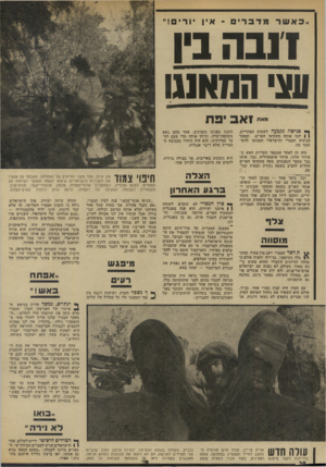 העולם הזה - גליון 1896 - 3 בינואר 1973 - עמוד 20 | !,כאשר מדברים ־ אין יו רי ם ! ״ דובה בין עצי ההא]!! מאת ואב יפ ת ך• פגישה נקבעה לשעות ד<צד.ריים. ן \ יזמו אותה משקיפי האו״ם, ומפקד הגיזרה המצרי והישראלי הסכימו