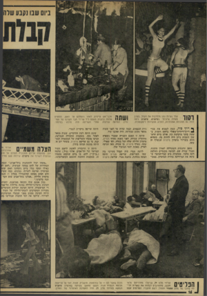 העולם הזה - גליון 1897 - 9 בינואר 1974 - עמוד 16 | שתי נערות גוגו מלהיבות את הקהל, בערב פעולה שיגרתי בטיפניס. טיפניס ניסה לתת גם תוכניות אמנותיות, לחרוג מפעילות דיסקוטקית. ך* ייי*ף כלל, קשה למצוא את מנדי *