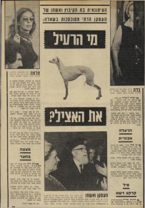 העולם הזה - גליון 1901 - 6 בפברואר 1974 - עמוד 25 | העיתונאי! 11 בת הקיבוץ ואשתו שר העסקן הדווי מסוכסכות ב שאלה: ןוןאךן יגול העיתונאית ילידת הו ו קיבוץ, בתו של יונה יגול, מוותיקי צמרת תנועת העבודה בארץ. ערומות