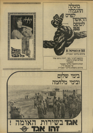 העולם הזה - גליון 1901 - 6 בפברואר 1974 - עמוד 28 | רוטלה המצטבר. הפרם הראשון בלוטו מצטבר עד 500,000ל״י. פרטים נוספים בדוכני המכירה. בימי שלום ובימי