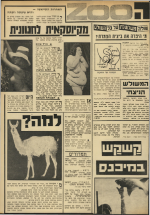 העולם הזה - גליון 1905 - 6 במרץ 1974 - עמוד 3 | האח רו ת התייא שו ו הי א ציפתה וזכ ת ה ך• א תמיד האירו וזחיים ללקר־ /דה ויטגנשטיין. היום, שעה שיושבת היא בפתיח חנותה, יכולה לקרדה להשקיף אל עיברה ולחייך. מי