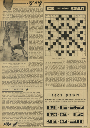העולם הזה - גליון 1907 - 20 במרץ 1974 - עמוד 6 | נוכה העליה הגדולה במחירי הבשר, כך הסתבר, מוכנים יותר ויותר קצבים להסתכן במכירת בשר סוסים, חמורים ואפילו גמלים מרצועת עזה, כשהם נמכרים ללקוחות כבשר בקר.