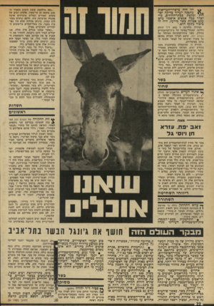 העולם הזה - גליון 1908 - 27 במרץ 1974 - עמוד 22 | אלפים רבים של סוסים, חמורים וגמלים מוברחים ארצה מהגדה ומרצועת עזה. חלקם נגועים במח לות קשות, ביניהן מחלות שלא היו נפו צות בעבר, בין בעלי־החיים ביישובים ה