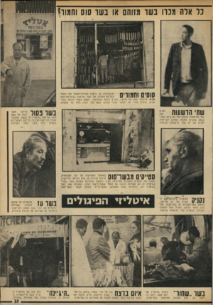 העולם הזה - גליון 1908 - 27 במרץ 1974 - עמוד 23 | נד אדה מכרו בשו מזוהם או נ שו סוס וחמור! סוסים וחמורים עיקבותיהן של בהמות פסולוית־למאכל אלו נתגלו בבדיקת־מעבדה של בשר שניקרה ב ביוד החחשת אביב, פרוכטר פסח את