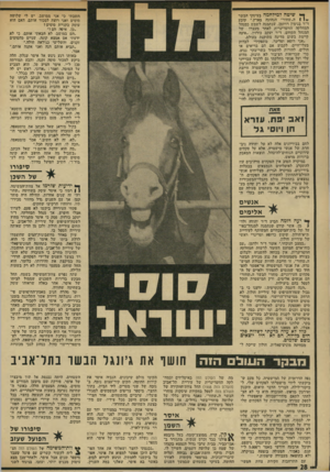 העולם הזה - גליון 1909 - 3 באפריל 1974 - עמוד 9 | ך* שיטה למילחמה בעיסקי הבשר ׳? 1 1ה״שזזור״ הנהוגה בארץ,״ קובע ד״ר בנימין רויזמן, שנתמנה לשמש כמנהל המחלקה הווטרינרית לאחר מעצרו של המנהל הקודם, ד״ר יעקב כורזין