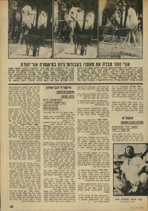 העולם הזה - גליון 1912 - 25 באפריל 1974 - עמוד 25 | בעבודות־גינה במישטות אוריהווה אור׳ זוהו מבלה את מאסון אורי זוהר, אשר נידון בכית־המישפט לשלושה חודשי מאסר על החזרות סמים, זובח ליחס מיוחד, על־פי הוראות מפקד
